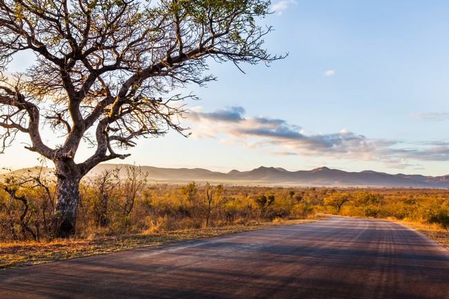 Coucher de soleil parc national Kruger