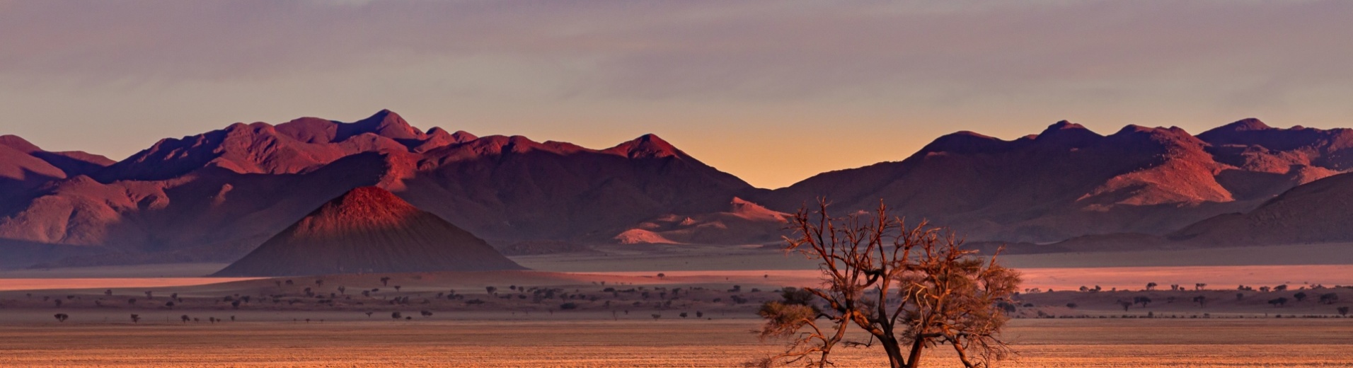 afrique du sud desert