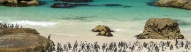 plage-le-cap-pingouins-boulders