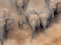 Kruger National Park