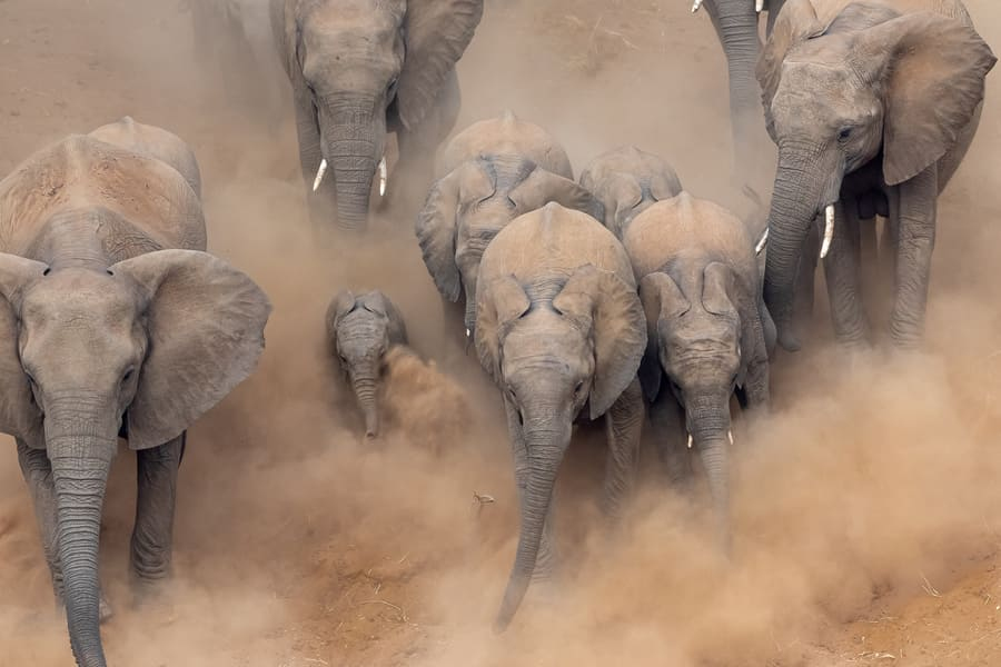 Kruger National Park