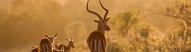 National Park