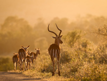 National Park