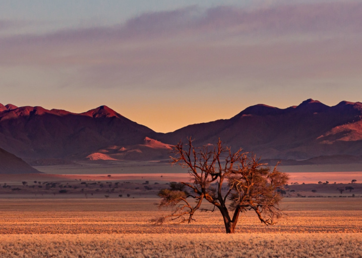desert-namibie
