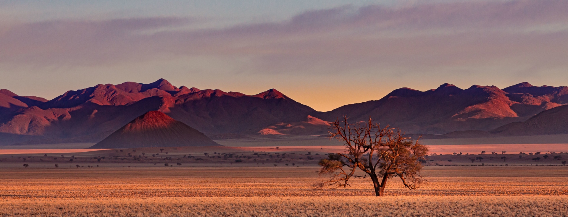 desert-namibie