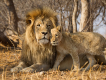 Kruger National Park