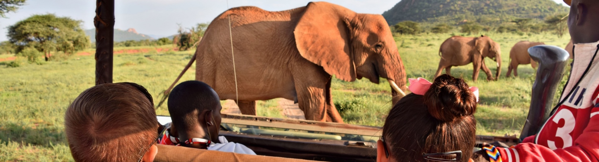 famille-safari-4x4-elephant