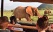 famille-safari-4x4-elephant