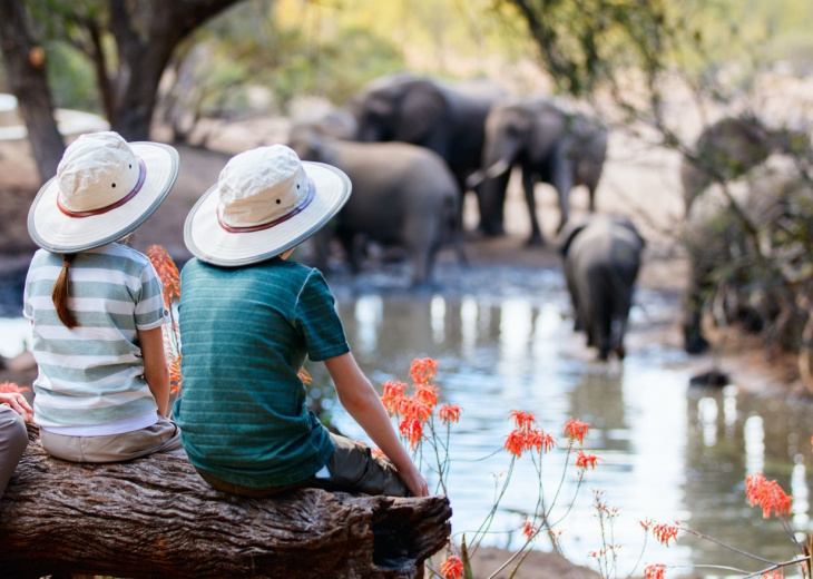 famille-safari-de-dos