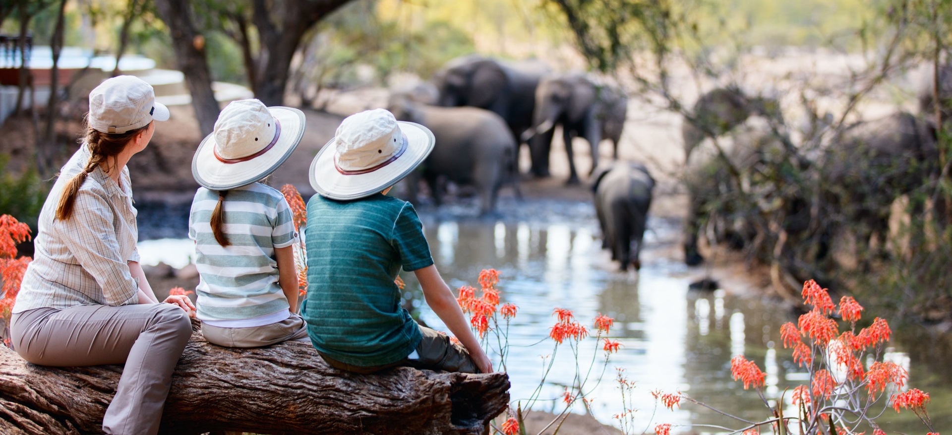 famille-safari-de-dos