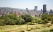 Johannesburg-gratte-ciel-parc