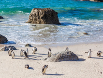 Cape Town's