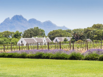 Franschhoek