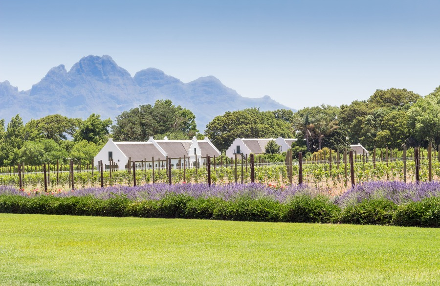 Franschhoek
