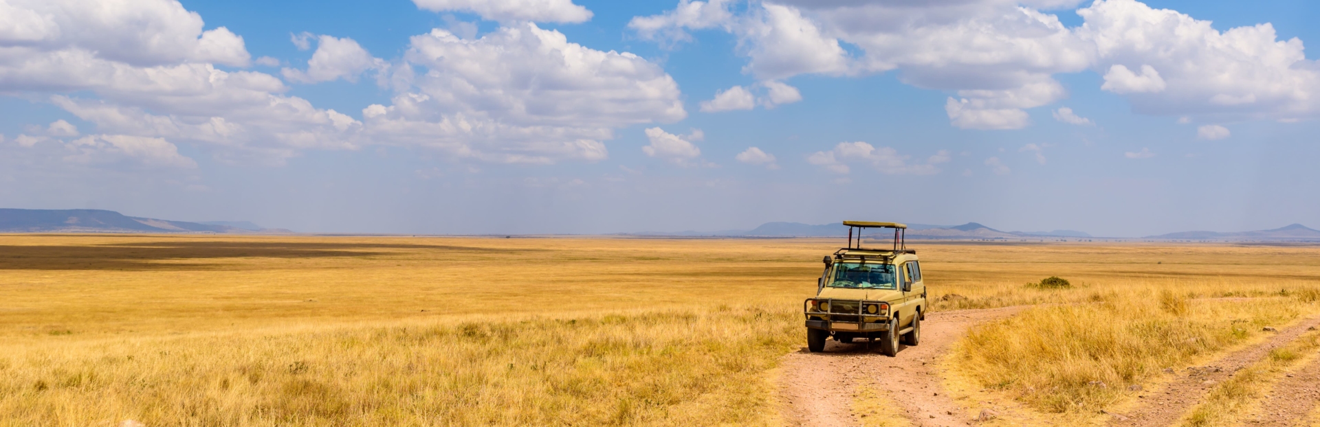 safari-savane-4x4