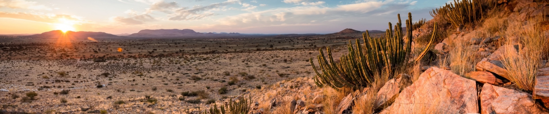 paysage-coucher-de-soleil