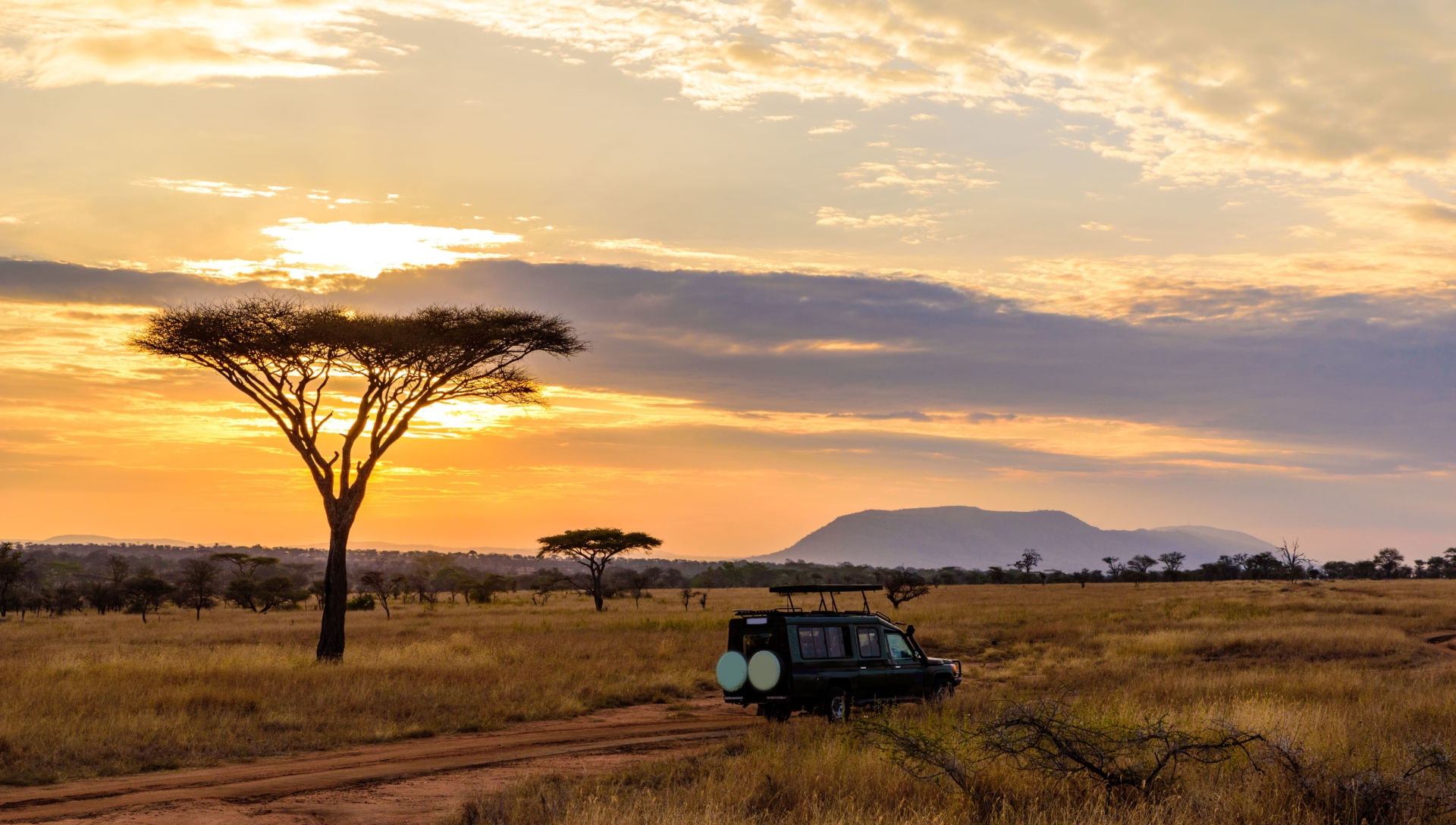 safari-brousse-4x4