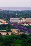 pretoria-ville-vue-aerienne-arbres-fleuris