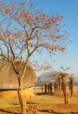 Swaziland-maison-traditionnelle-savane