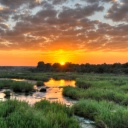 marécage-savane-brousse-coucher-de-soleil