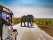 safari-piste-kruger-4x4