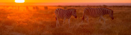 incontournable-afrique-du-sud
