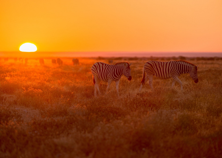 incontournable-afrique-du-sud