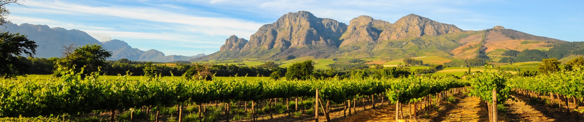 route-des-vins-vignobles-montagnes-paysage