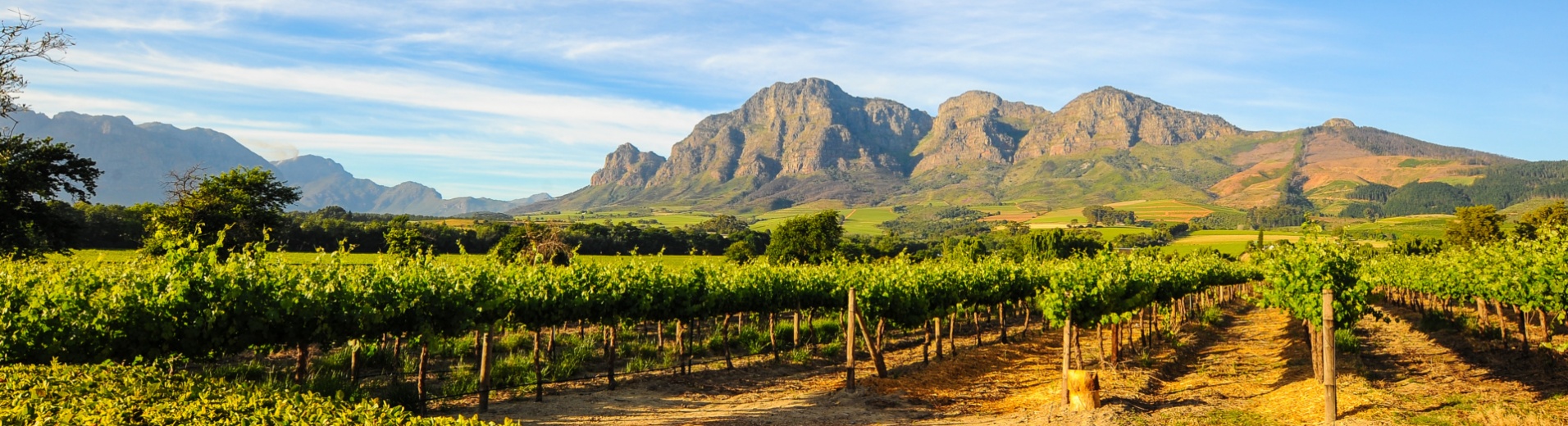 route-des-vins-vignobles-montagnes-paysage