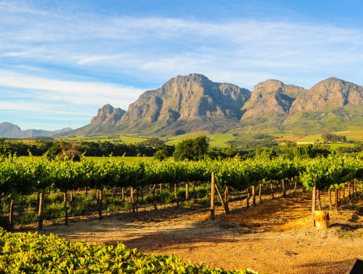 route-des-vins-vignobles-montagnes-paysage
