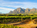 route-des-vins-vignobles-montagnes-paysage