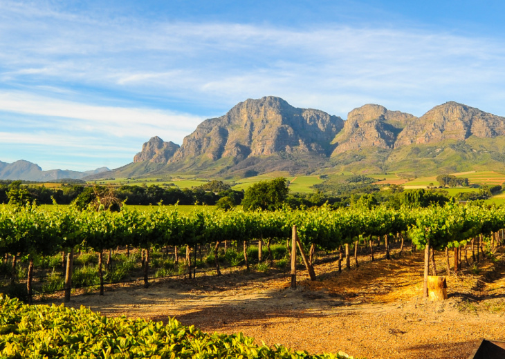route-des-vins-vignobles-montagnes-paysage