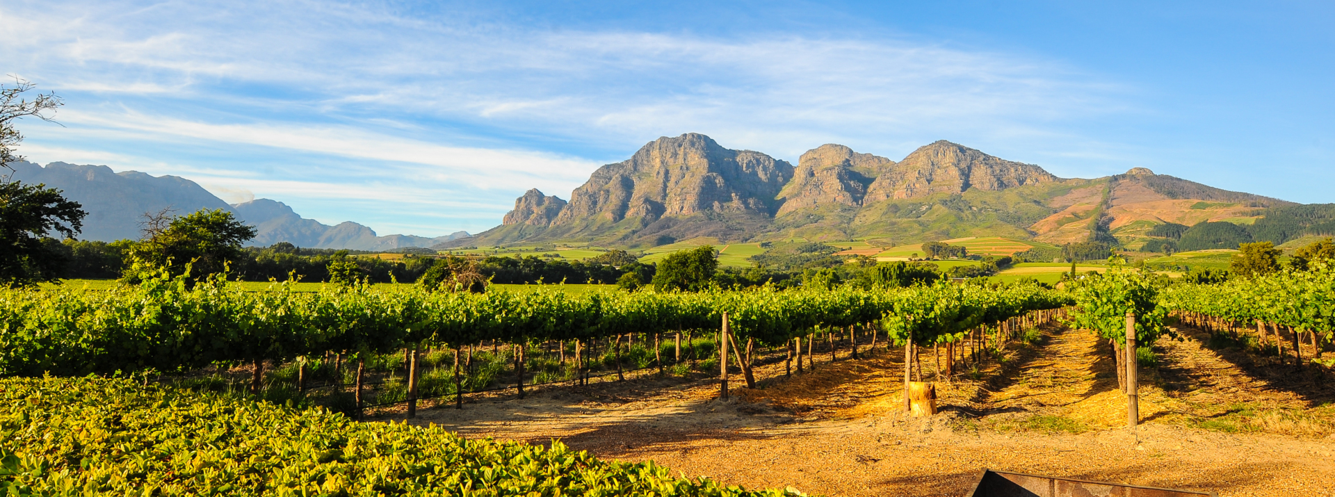 route des vins