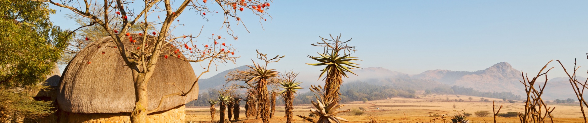 paysage-swaziland-savane-maison-traditionnelle-zoulou