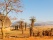 paysage-swaziland-savane-maison-traditionnelle-zoulou
