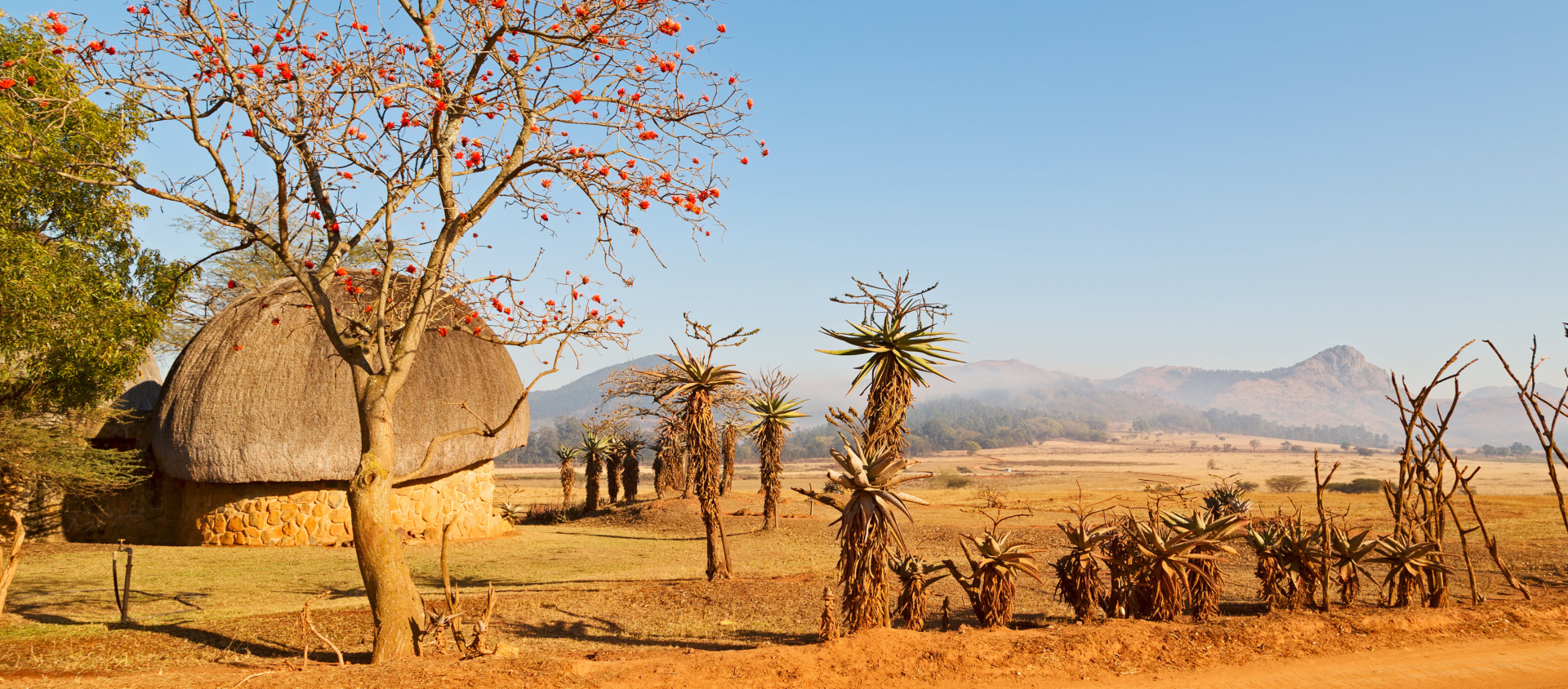 paysage-swaziland-savane-maison-traditionnelle-zoulou