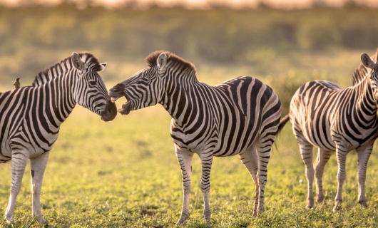 sites de rencontres en afrique du sud