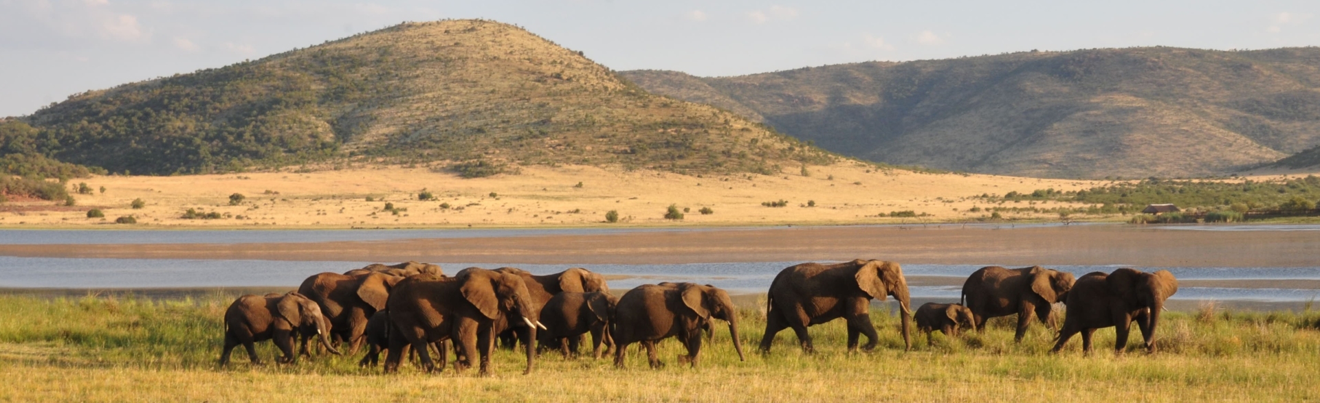 paysage-collines-riviere-elephant-savane