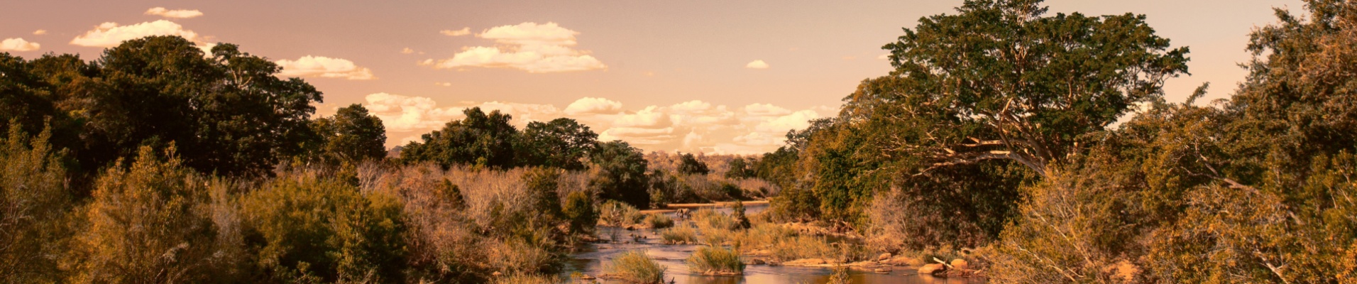 paysage-rivière-savane