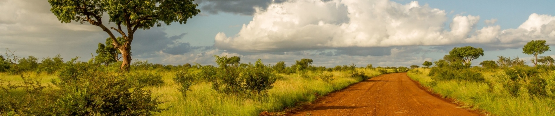 kruger-safari-piste