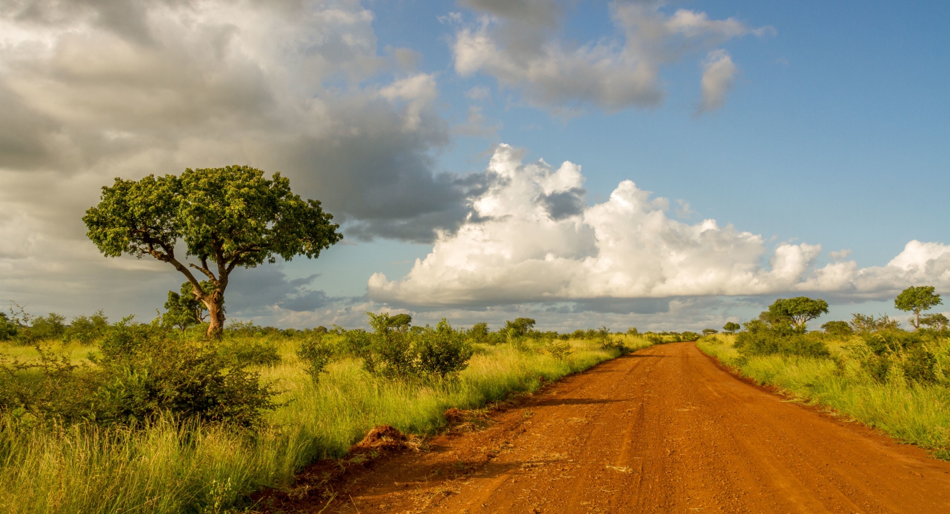 kruger-safari-piste