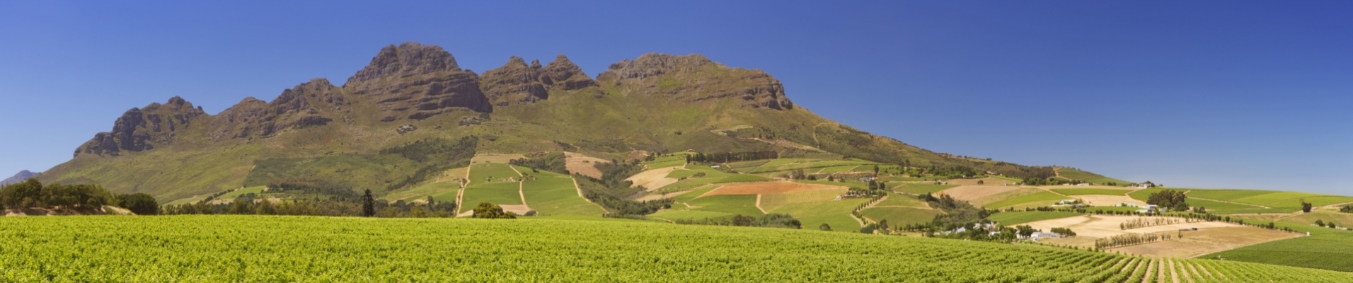 route-des-vins-vignobles