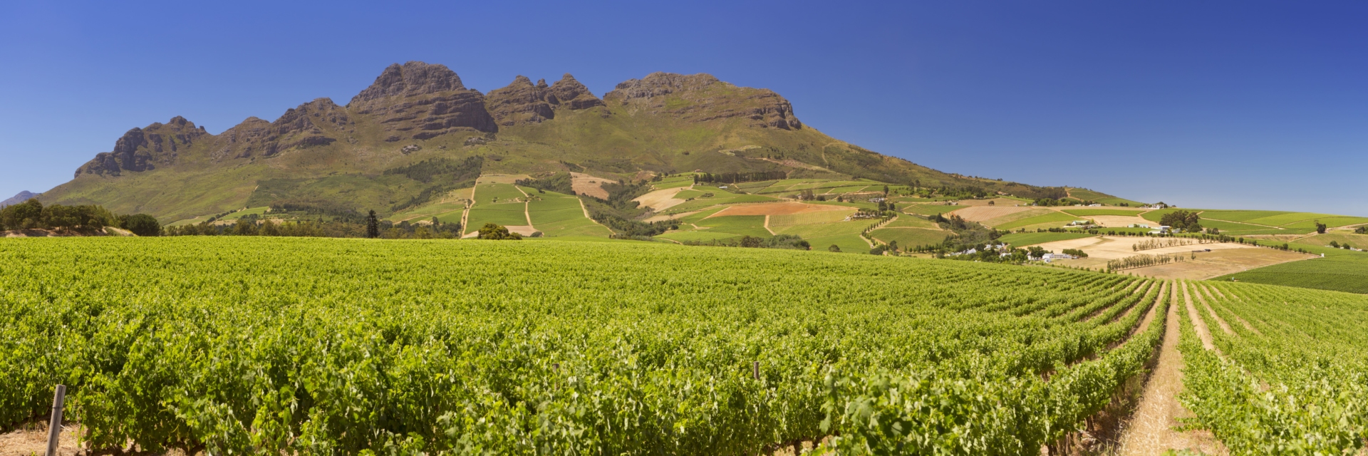route-des-vins-vignobles