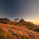 signal-hill-cape-town