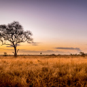 parc-national-kruger-coucher-de-soleil