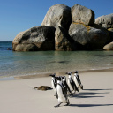 Plage Boulders